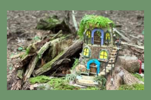 fairy house trail